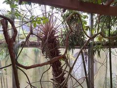-金稼园·金平湖农家菜