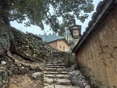 -杨家堂村
