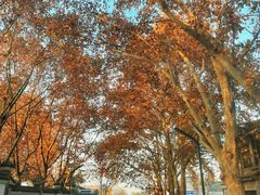 -终南山南五台景区