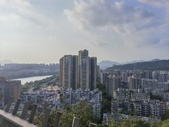 -福道
