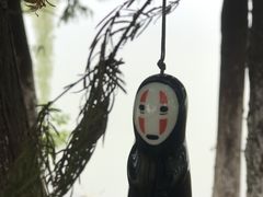 -瑶湖郊野森林公园