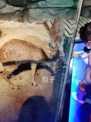 -未来动物城动物主题公园(大悦城店)