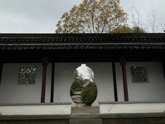 -八大山人梅湖景区