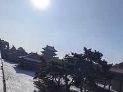 -北陵公园
