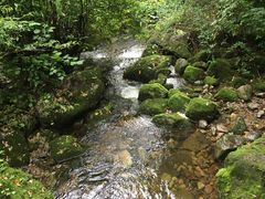 -陕西省红河谷森林公园