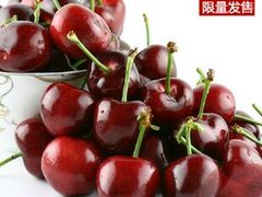 -大自然农场蔬菜草莓采摘园