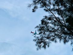 -宝安西湾红树林湿地公园