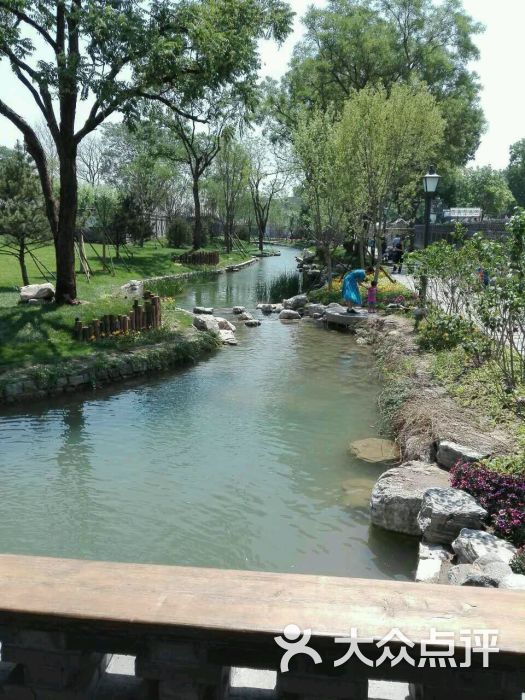 老来乐文化广场图片 - 第5张