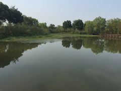 -长兴太湖图影湿地文化园