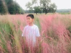 -艾溪湖湿地公园