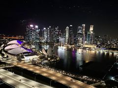-新加坡摩天观景轮