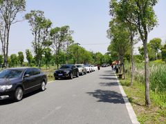 -广富林郊野公园