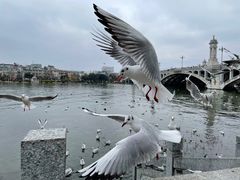 -大理洱海