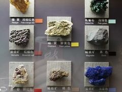 -中国地质博物馆