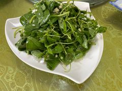 -伊犁羊杂馆