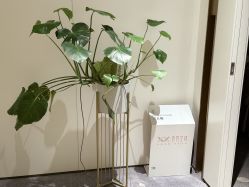 -香秀空间科技抗衰·美容中心