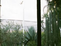 -自由生长植物工作室(深港花卉中心店)