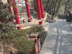 -金鸡山公园