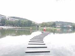 -上海佘山世茂艾美酒店