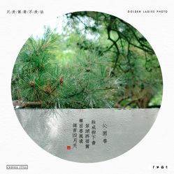 点击看大图 -金夫人婚纱摄影(衡阳店)