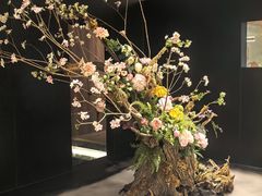-隅焰·三生三味·手作川菜(金沙天街店)