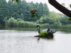 -苏州太湖国家湿地公园