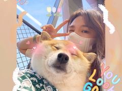 -怪兽屋·羊驼·猫咖·狗咖(俊华广场店)