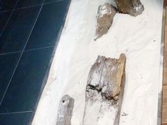 -VESH COFFEE(定西路店)