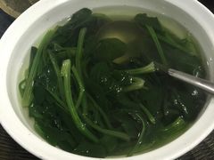 -鸿恩陶然大观园