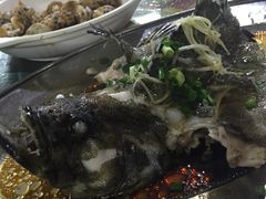 -大湾区中央湿地公园-十九涌