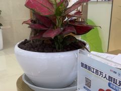 -美年大健康体检(滨江分院)