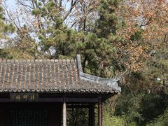 -上海方塔园