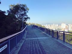 -金鸡山公园
