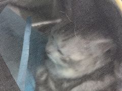 -达爱动物医院·犬猫分区·CT·复杂眼科(远洋山水分院)