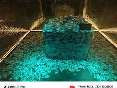 -bb boom运动闯关密室·聚会团建·家庭亲子(龙湖西溪天街店)