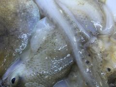 -鱼市酒店(威海水产批发市场店)