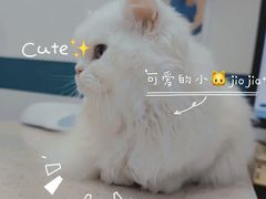 -萌兽医馆·宠物医院·猫骨科(创景店)