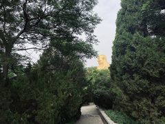 -千佛山风景名胜区