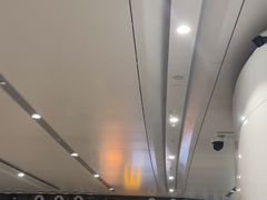 -麦当劳(北京大兴机场二层国内到达(安检外)店)