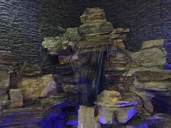 -明日世界密室轰趴·剧本桌游·箭馆团建(国贸店)