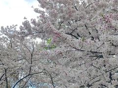 -杭州少年儿童公园
