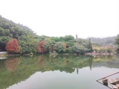-深圳仙湖植物园