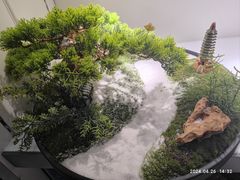 -西北轻工批发市场