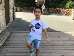 -哈利·波特的魔法世界