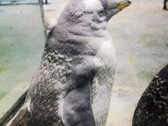 -大连圣亚海洋世界