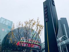 -光谷广场