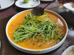 高山岩米菠菜苗-肴约·花园式餐厅(湖里店)