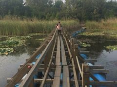 -溱湖国家湿地公园