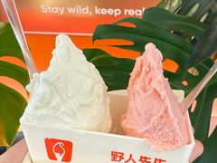 -野人先生现做冰淇淋(北京王府井东方新天地店)