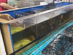 -王记新汕头肠粉炖汤